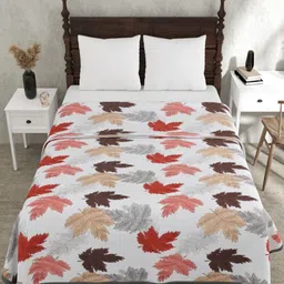 Myntra Elegant Homes Multi 180 GSM Ethnic Motifs Cotton AC Room Double Bed Dohar-image-11