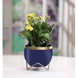 VOIDROP Round Shape Small Size Table Planters Drainage hole with Stand Pot for Living Room Indoor Decorative Planter Outdoor Plant Containers Balcony Decoration Garden Decor Pot,Blue-picture-26