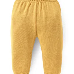 doodle poodle Doddle Poodle Full Sleeves Pullover Sweater Set with Cable Knit Design - Mustard image 4