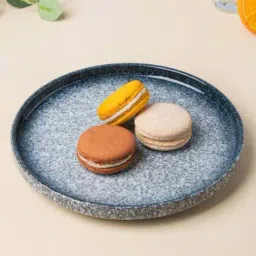 Nestasia Premium Quality Blue & White Two-Toned Pebble Glazed Stoneware Dinner Plate 7.87 Inch-image-48