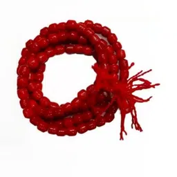 VANISHREE WORLD Unisex Brass Chain-picture-35