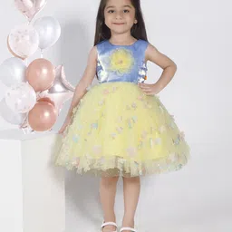 Ministitch Kids Girls Embellished Round Neck Applique Net Fit & Flare Dress-picture-17