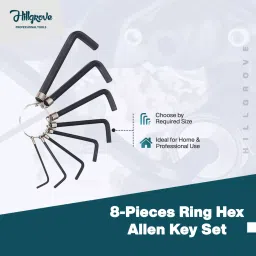 Hillgrove Double Acting Piston HVLP Paint Spray 550 W, HGCM811M2 image 2