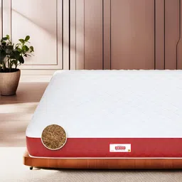 COIRFIT White & Maroon Quilted Cotton Orthopedic Queen Size Mattress-picture-37