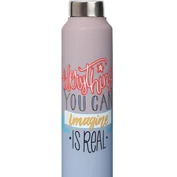 Speedex Pink & Blue Single Stainless Steel Printed Water Bottle-picture-21