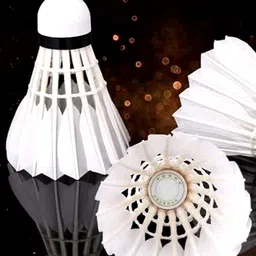 sai mart High-Performance Feather Shuttlecock Set – 10 Feather Shuttle - White image 4