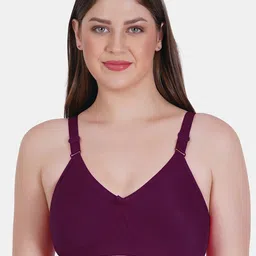 Reveira Mould Pack Of 2 Dry Fit Full Coverage Non Padded T-shirt Bra With All Day Comfort image 2