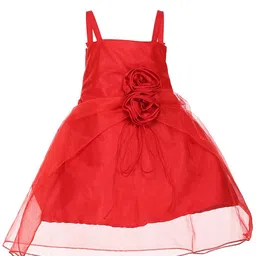 Samsara Couture Red Solid Net Dress image 2