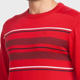 ColorPlus Men Plus Size Striped Cotton Pullover image 2