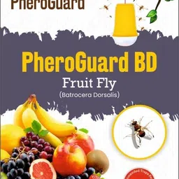 Agrosiaa Pheroguard BD Bactrocera Dorsalis Lure | Fruit Fly Control for Agriculture |Pack of 5 | 40-45 Days Effective Life | Eco-Friendly Pest Solution (Traps Not Included) image 1