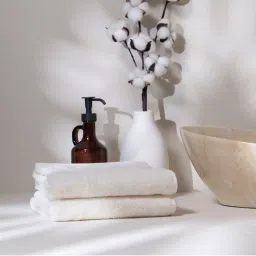 Feather & Spun Cream Organic Cotton - Hand Towel (Pack of 2) (M)-image-24