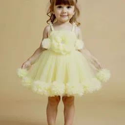 Lagorii Girls Lemon Sleeveless And Floral Embelllished Net Frock-picture-27