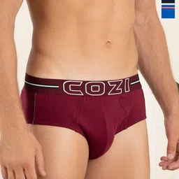 Lux Cozi Men Pack Of 3 Assorted Pure Cotton Basic Briefs COZI_1124_LUXURY_AST_3PC-picture-26