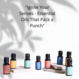 Inditale Frankincense Pure Essential Oil - 15 ml image 3