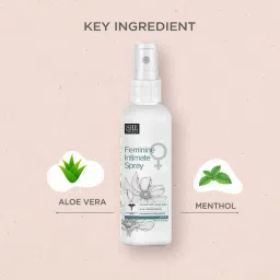 Sheneed Feminine Intimate Spray image 3