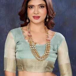 DIVASTRI Ethnic Motifs Embroidered Tissue Handloom Saree image 2