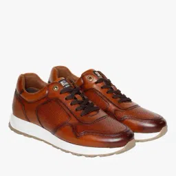 steve madden Lace-Ups Sneakers-1633 image 2