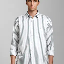 Louis Philippe Sport Men Slim Fit Opaque Striped Casual Shirt-picture-13