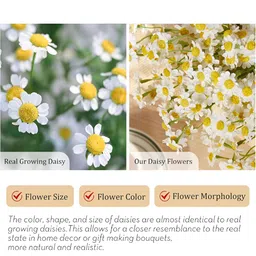 TIED RIBBONS 10 Pieces White And Yellow Artificial Daisy Flower Bunch image 3