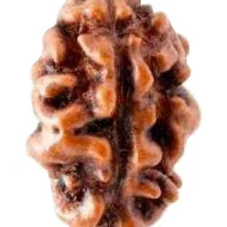 RAVIOUR LIFESTYLE Brown Alloy Pendants-picture-15
