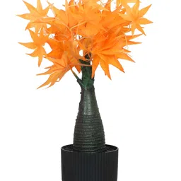 TIED RIBBONS Orange 1 Pieces Maple Artificial Plant With Pot image 3