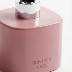 H&M Reed Diffusers image 2