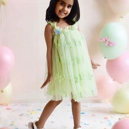 Fayon Kids Girls Floral Self Design Net A-Line Dress-picture-12