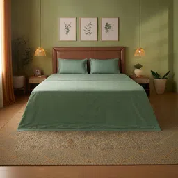 LIVSPACE Green & Green AC Room 110 GSM Dohar-image-22
