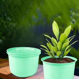 Kuber Industries Green 3 Pieces Flower Pot With Plate image 1