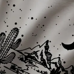 Moda Rapido Women Printed Sweatshirt image 5