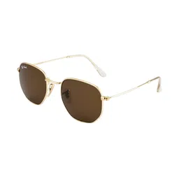 Ted Smith Unisex Brown Lens & Gold-Toned Square Sunglasses with image 3
