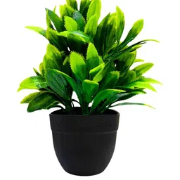 Dekorly Orange Plastic Fern Artificial Flowers & Plants With Pot image 2