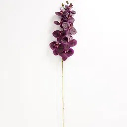 Pure Home and Living Purple & Green Phalaenopsis Artificial Flower Stem image 3