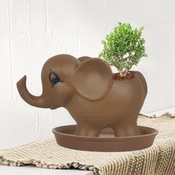 LASAKI Brown Ceramic Planter With Plate-picture-13