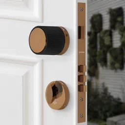 plantex Brass, Zinc Alloy Glossy Door knobs image 4