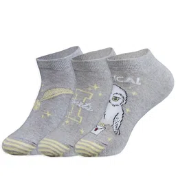 Socksxpress Women Pack Of 3 Patterned Ankle Length Socks image 5