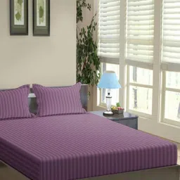 Trance Home Linen Purple Striped Pure Cotton 200 TC Single Bedsheet Set-2.54 m x 1.52 m-image-79