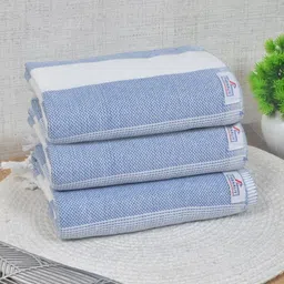 FABINALIV Blue & White 3 Striped Cotton 225 GSM Bath Towel image 3