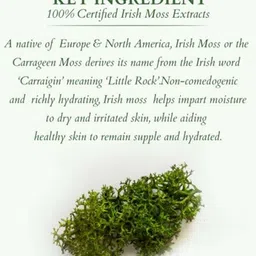 Lotus Organics+ Divine Nutritive Cream - Irish Moss - 50 g image 2