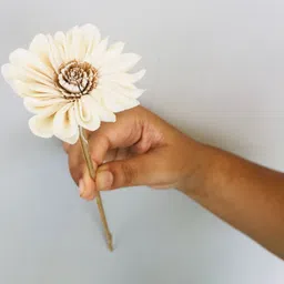 Vanchai White 5 Pieces Artificial Flower image 4