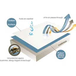 Innovative Edge Peach & Black Cotton Water Resistant Mattress Protector image 3