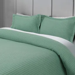 ROSARA HOME Green Pure Cotton Queen Bed Cover With 2 Pillow Covers-picture-28