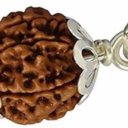 jewelswonder 100 % Original & Natural Five Face / 5 Mukhi / Panch Mukhi Rudraksha With JGL La Wood Pendant image 2