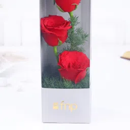 Ruby Rose Melody Bouquet N Truffle Cake Combo image 2