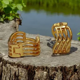 SHREE KRISHNA SHOPPING Unisex Gold-Plated Brass Earrings-image-95