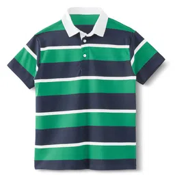 lil berry Boys Green Striped Tshirts-picture-36