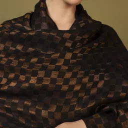 Pashmoda Checked Woven Design Shawl image 3