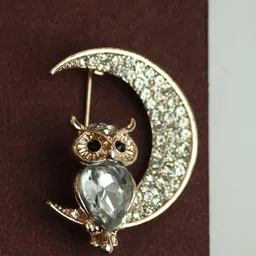 Tossido Men Owl Charm Stone Studded Brooch image 3