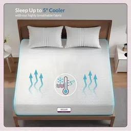 Amore Essential Orthopaedic HR Foam Mattress Queen Size (72x60x8) Plush Support image 3