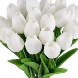 paperi White & Green 5 Pieces Artificial Tulip Flowers Sticks image 3
